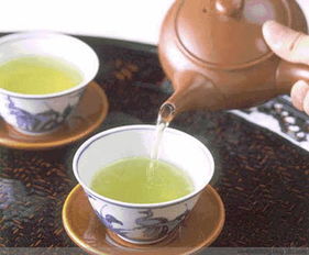 修武茶韵 品一叶芳华，悟人生百味